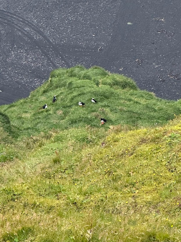 iceland37